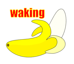 The True Intention of the Banana E sticker #5711572