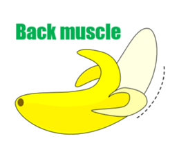 The True Intention of the Banana E sticker #5711604