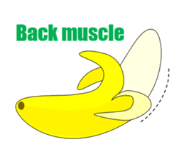 The True Intention of the Banana E sticker #5711604
