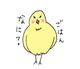 Piyomi and her neighbors. sticker #5712746