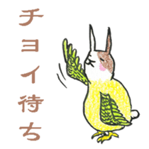 Bunny Parrot sticker #5713293