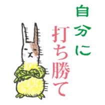 Bunny Parrot sticker #5713294