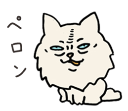 Mean Cat Grandmother sticker #5715154