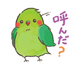 mild-Parakeet sticker #5715369