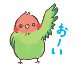 mild-Parakeet sticker #5715383