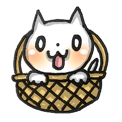 Cute! Pretty! Cat!!!