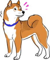 Shiba Inu, the brushwood dog from Japan sticker #5717023