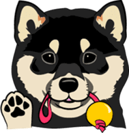 Shiba Inu, the brushwood dog from Japan sticker #5717024