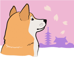 Shiba Inu, the brushwood dog from Japan sticker #5717025