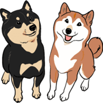 Shiba Inu, the brushwood dog from Japan sticker #5717027