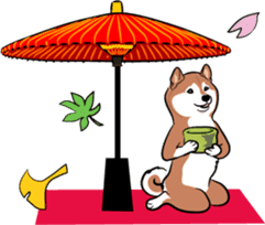 Shiba Inu, the brushwood dog from Japan sticker #5717036