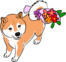 Shiba Inu, the brushwood dog from Japan sticker #5717038