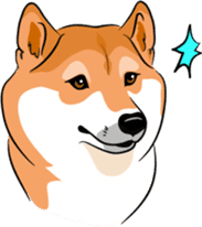 Shiba Inu, the brushwood dog from Japan sticker #5717041