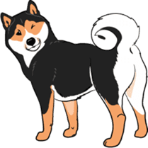 Shiba Inu, the brushwood dog from Japan sticker #5717043