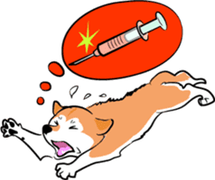 Shiba Inu, the brushwood dog from Japan sticker #5717046