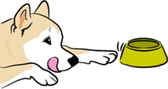 Shiba Inu, the brushwood dog from Japan sticker #5717048