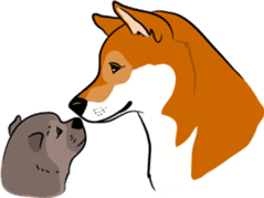 Shiba Inu, the brushwood dog from Japan sticker #5717051