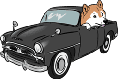 Shiba Inu, the brushwood dog from Japan sticker #5717054