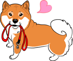 Shiba Inu, the brushwood dog from Japan sticker #5717058
