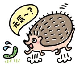FRYING HEDGEHOG !? sticker #5720598