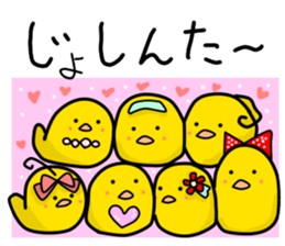 The Mikawa dialect Hiyoko's 2 sticker #5721273