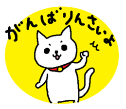Hiroshimaben cat 2 sticker #5723125