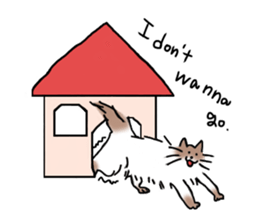 Bushy cat sticker #5723897