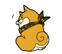 Shivasan is Shiba inu sticker #5726955