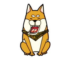 Shivasan is Shiba inu sticker #5726957