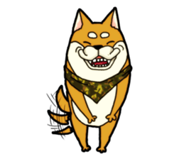 Shivasan is Shiba inu sticker #5726958