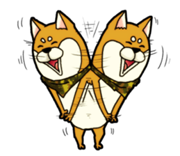 Shivasan is Shiba inu sticker #5726960