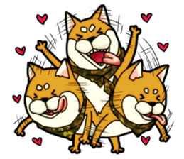 Shivasan is Shiba inu sticker #5726961