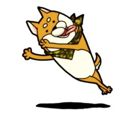 Shivasan is Shiba inu sticker #5726962