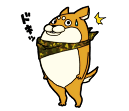 Shivasan is Shiba inu sticker #5726964