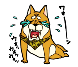 Shivasan is Shiba inu sticker #5726970