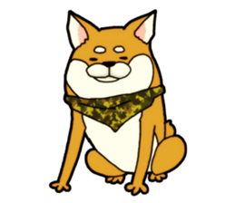 Shivasan is Shiba inu sticker #5726972