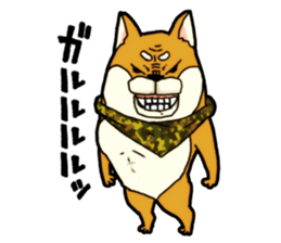 Shivasan is Shiba inu sticker #5726974