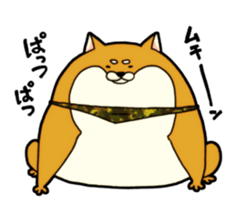 Shivasan is Shiba inu sticker #5726977