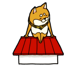 Shivasan is Shiba inu sticker #5726978