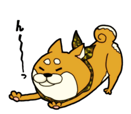 Shivasan is Shiba inu sticker #5726982