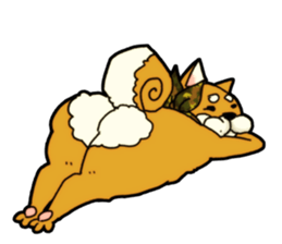 Shivasan is Shiba inu sticker #5726986