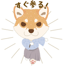 LOVE SHIBA sticker #5728617