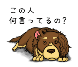 Suzuki's dog, selfish choco sticker #5730537