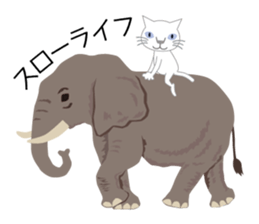 Tweet Cat 1 sticker #5730730