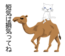 Tweet Cat 1 sticker #5730732