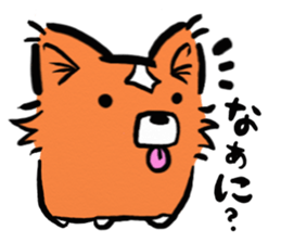 Cogita is Welsh Corgi sticker #5733553