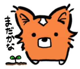 Cogita is Welsh Corgi sticker #5733555