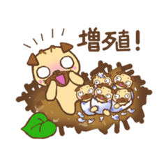 Pooh the pug 4 sticker #5734677