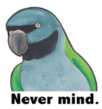 Wonderful birds 2 sticker #5734926