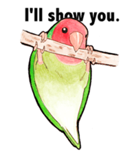 Wonderful birds 2 sticker #5734931